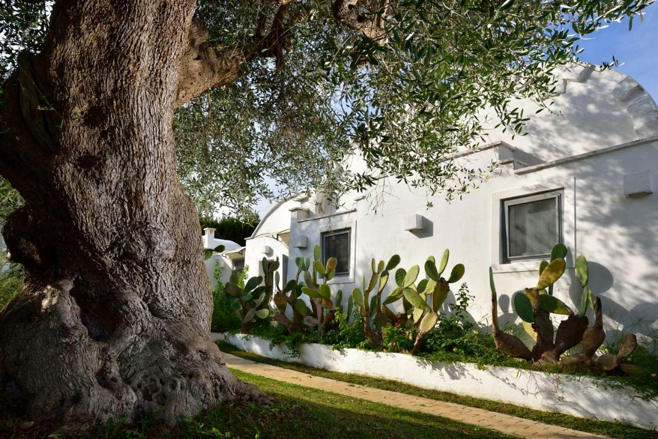 B&B Trullo Barbagiullo Cisternino Exterior photo